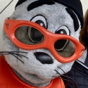 Carolyn and Lou Seal